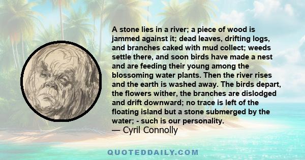 A stone lies in a river; a piece of wood is jammed against it; dead leaves, drifting logs, and branches caked with mud collect; weeds settle there, and soon birds have made a nest and are feeding their young among the