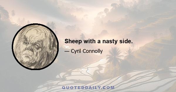 Sheep with a nasty side.