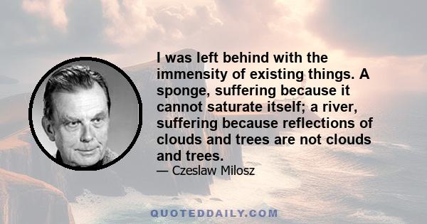 I was left behind with the immensity of existing things. A sponge, suffering because it cannot saturate itself; a river, suffering because reflections of clouds and trees are not clouds and trees.