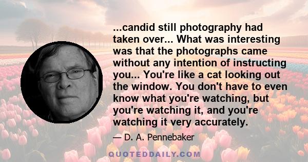 ...candid still photography had taken over... What was interesting was that the photographs came without any intention of instructing you... You're like a cat looking out the window. You don't have to even know what