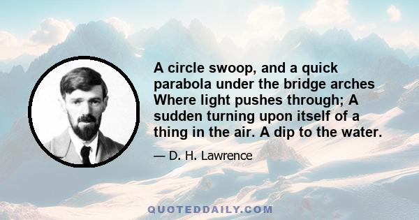 A circle swoop, and a quick parabola under the bridge arches Where light pushes through; A sudden turning upon itself of a thing in the air. A dip to the water.