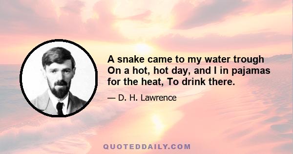 A snake came to my water trough On a hot, hot day, and I in pajamas for the heat, To drink there.