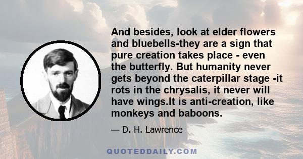 And besides, look at elder flowers and bluebells-they are a sign that pure creation takes place - even the butterfly. But humanity never gets beyond the caterpillar stage -it rots in the chrysalis, it never will have