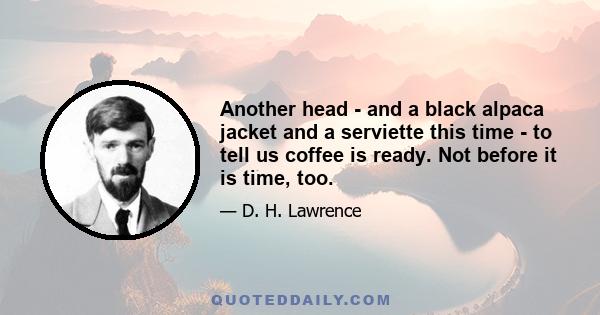 Another head - and a black alpaca jacket and a serviette this time - to tell us coffee is ready. Not before it is time, too.