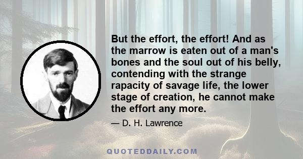 But the effort, the effort! And as the marrow is eaten out of a man's bones and the soul out of his belly, contending with the strange rapacity of savage life, the lower stage of creation, he cannot make the effort any