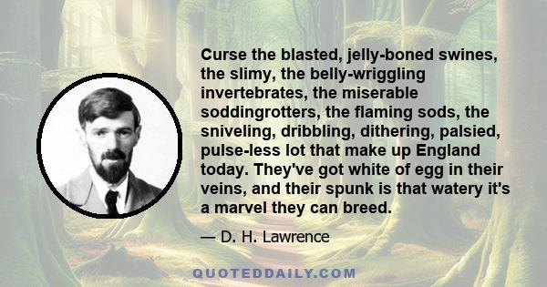 Curse the blasted, jelly-boned swines, the slimy, the belly-wriggling invertebrates, the miserable soddingrotters, the flaming sods, the sniveling, dribbling, dithering, palsied, pulse-less lot that make up England