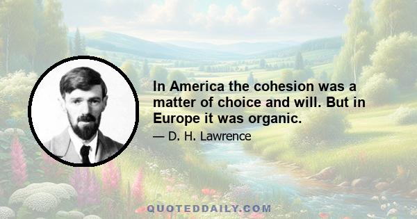 In America the cohesion was a matter of choice and will. But in Europe it was organic.