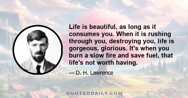 Life is beautiful, as long as it consumes you. When it is rushing through you, destroying you, life is gorgeous, glorious. It's when you burn a slow fire and save fuel, that life's not worth having.