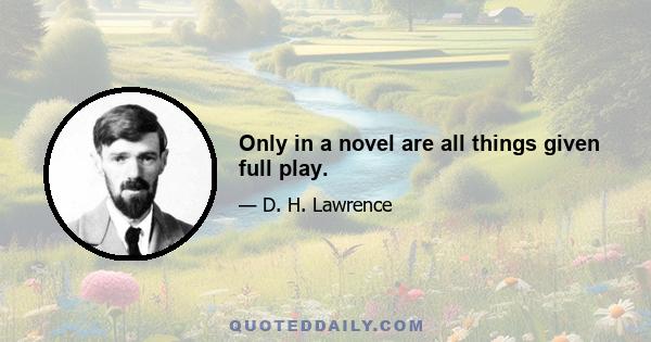 Only in a novel are all things given full play.