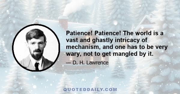 Patience! Patience! The world is a vast and ghastly intricacy of mechanism, and one has to be very wary, not to get mangled by it.