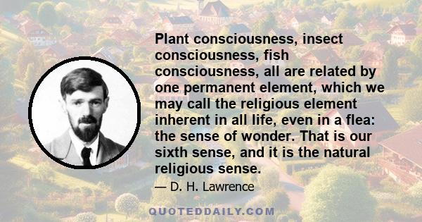 Plant consciousness, insect consciousness, fish consciousness, all are related by one permanent element, which we may call the religious element inherent in all life, even in a flea: the sense of wonder. That is our