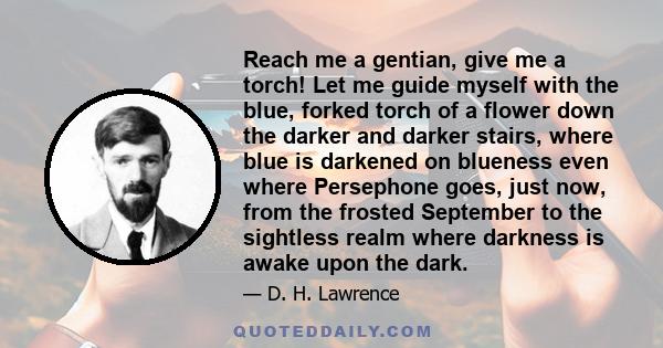 Reach me a gentian, give me a torch! Let me guide myself with the blue, forked torch of a flower down the darker and darker stairs, where blue is darkened on blueness even where Persephone goes, just now, from the