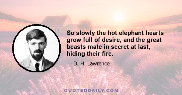 So slowly the hot elephant hearts grow full of desire, and the great beasts mate in secret at last, hiding their fire.