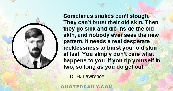 Sometimes snakes can’t slough. They can’t burst their old skin. Then they go sick and die inside the old skin, and nobody ever sees the new pattern. It needs a real desperate recklessness to burst your old skin at last. 