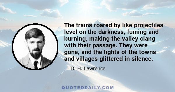 The trains roared by like projectiles level on the darkness, fuming and burning, making the valley clang with their passage. They were gone, and the lights of the towns and villages glittered in silence.