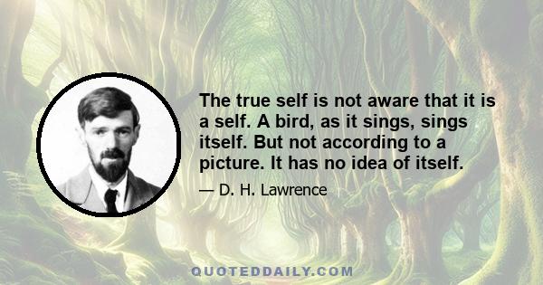 The true self is not aware that it is a self. A bird, as it sings, sings itself. But not according to a picture. It has no idea of itself.