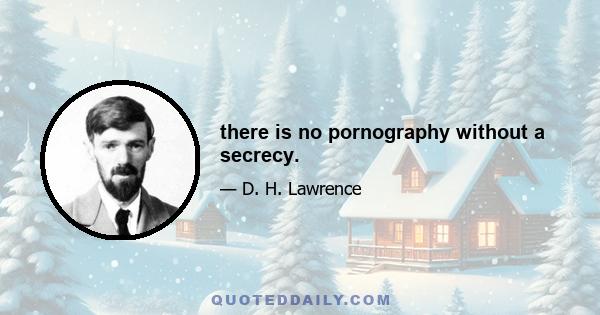 there is no pornography without a secrecy.