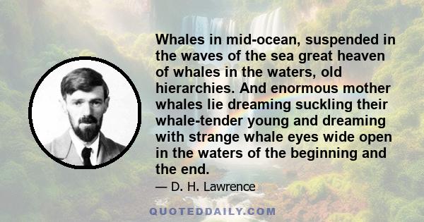 Whales in mid-ocean, suspended in the waves of the sea great heaven of whales in the waters, old hierarchies. And enormous mother whales lie dreaming suckling their whale-tender young and dreaming with strange whale