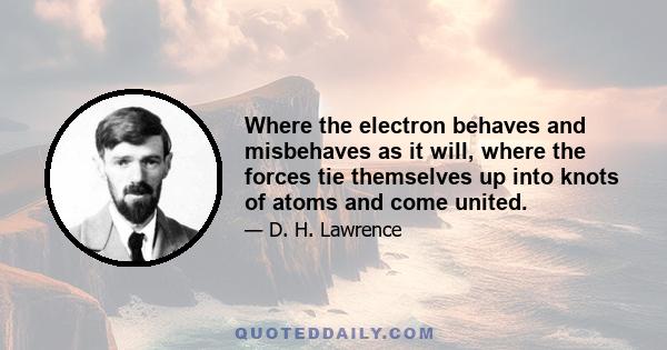 Where the electron behaves and misbehaves as it will, where the forces tie themselves up into knots of atoms and come united.