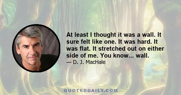 At least I thought it was a wall. It sure felt like one. It was hard. It was flat. It stretched out on either side of me. You know... wall.