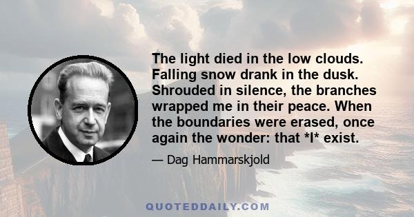 The light died in the low clouds. Falling snow drank in the dusk. Shrouded in silence, the branches wrapped me in their peace. When the boundaries were erased, once again the wonder: that *I* exist.