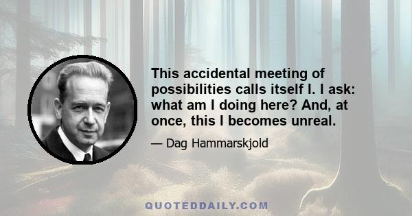 This accidental meeting of possibilities calls itself I. I ask: what am I doing here? And, at once, this I becomes unreal.