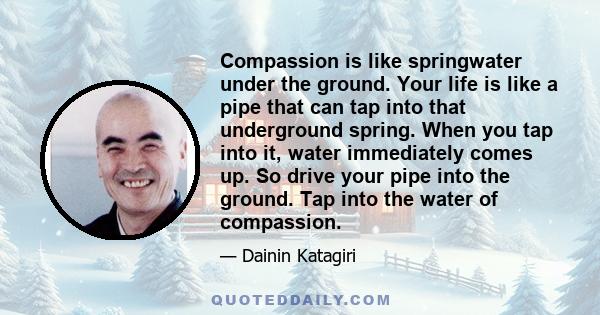 Compassion is like springwater under the ground. Your life is like a pipe that can tap into that underground spring. When you tap into it, water immediately comes up. So drive your pipe into the ground. Tap into the