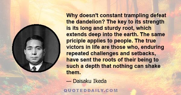 Why doesn't constant trampling defeat the dandelion? The key to its strength is its long and sturdy root, which extends deep into the earth. The same priciple applies to people. The true victors in life are those who,