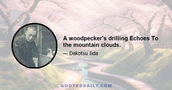 A woodpecker's drilling Echoes To the mountain clouds.