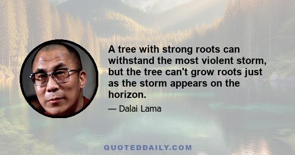 A tree with strong roots can withstand the most violent storm, but the tree can't grow roots just as the storm appears on the horizon.