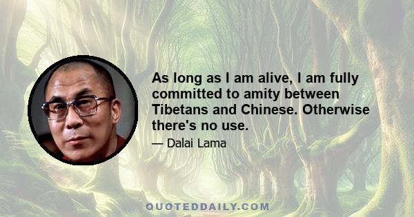 As long as I am alive, I am fully committed to amity between Tibetans and Chinese. Otherwise there's no use.