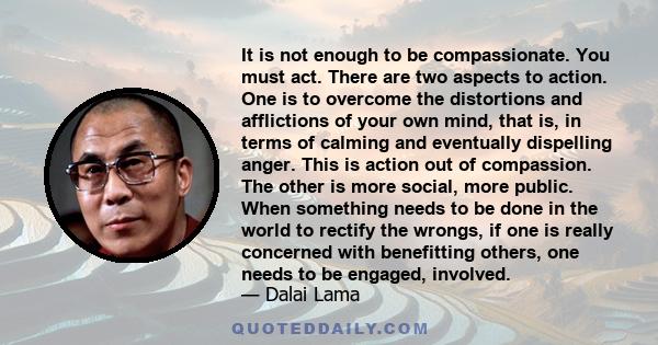 It is not enough to be compassionate. You must act. There are two aspects to action. One is to overcome the distortions and afflictions of your own mind, that is, in terms of calming and eventually dispelling anger.