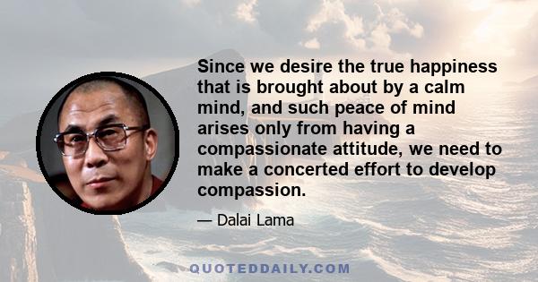 Since we desire the true happiness that is brought about by a calm mind, and such peace of mind arises only from having a compassionate attitude, we need to make a concerted effort to develop compassion.