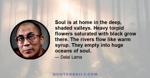 Soul is at home in the deep, shaded valleys. Heavy torpid flowers saturated with black grow there. The rivers flow like warm syrup. They empty into huge oceans of soul.