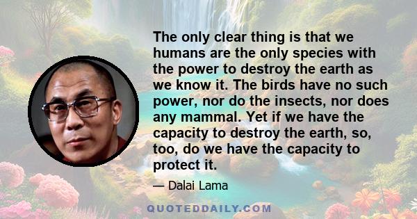 The only clear thing is that we humans are the only species with the power to destroy the earth as we know it. The birds have no such power, nor do the insects, nor does any mammal. Yet if we have the capacity to