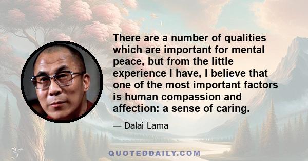 There are a number of qualities which are important for mental peace, but from the little experience I have, I believe that one of the most important factors is human compassion and affection: a sense of caring.