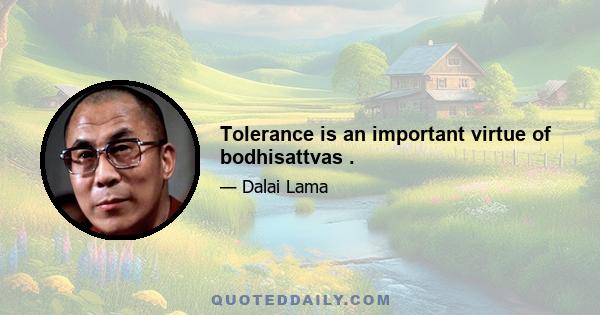 Tolerance is an important virtue of bodhisattvas .