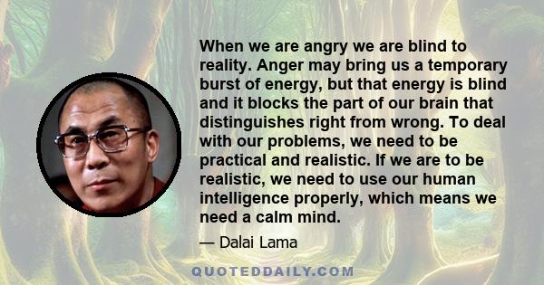 When we are angry we are blind to reality. Anger may bring us a temporary burst of energy, but that energy is blind and it blocks the part of our brain that distinguishes right from wrong. To deal with our problems, we