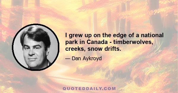 I grew up on the edge of a national park in Canada - timberwolves, creeks, snow drifts.