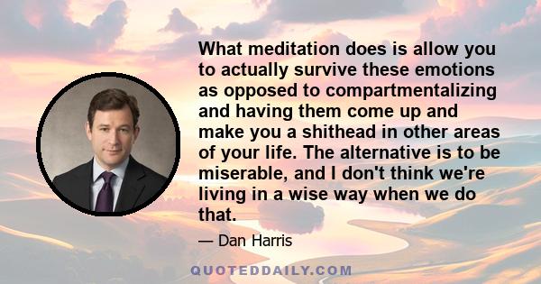 What meditation does is allow you to actually survive these emotions as opposed to compartmentalizing and having them come up and make you a shithead in other areas of your life. The alternative is to be miserable, and