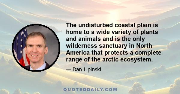 The undisturbed coastal plain is home to a wide variety of plants and animals and is the only wilderness sanctuary in North America that protects a complete range of the arctic ecosystem.