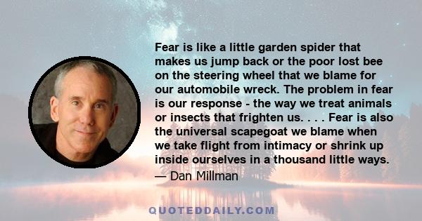 Fear is like a little garden spider that makes us jump back or the poor lost bee on the steering wheel that we blame for our automobile wreck. The problem in fear is our response - the way we treat animals or insects