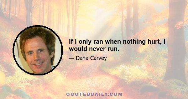 If I only ran when nothing hurt, I would never run.