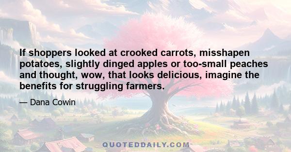 If shoppers looked at crooked carrots, misshapen potatoes, slightly dinged apples or too-small peaches and thought, wow, that looks delicious, imagine the benefits for struggling farmers.