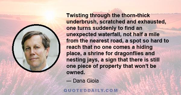 Twisting through the thorn-thick underbrush, scratched and exhausted, one turns suddenly to find an unexpected waterfall, not half a mile from the nearest road, a spot so hard to reach that no one comes a hiding place,