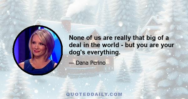 None of us are really that big of a deal in the world - but you are your dog's everything.