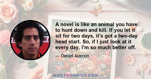 A novel is like an animal you have to hunt down and kill. If you let it sit for two days, it's got a two-day head start. So, if I just look at it every day, I'm so much better off.