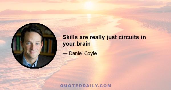 Skills are really just circuits in your brain