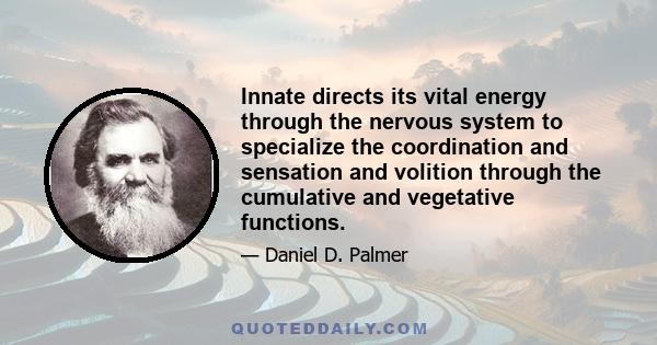 Innate directs its vital energy through the nervous system to specialize the coordination and sensation and volition through the cumulative and vegetative functions.