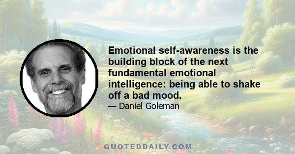 Emotional self-awareness is the building block of the next fundamental emotional intelligence: being able to shake off a bad mood.